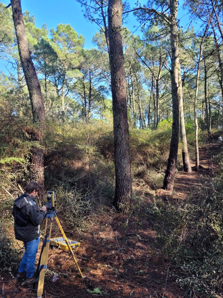 Una persona utiliza un instrumento topográfico montado sobre un trípode en un pinar iluminado por el sol, rodeado de árboles altos y densa maleza, con un camino despejado que se adentra en el bosque.
