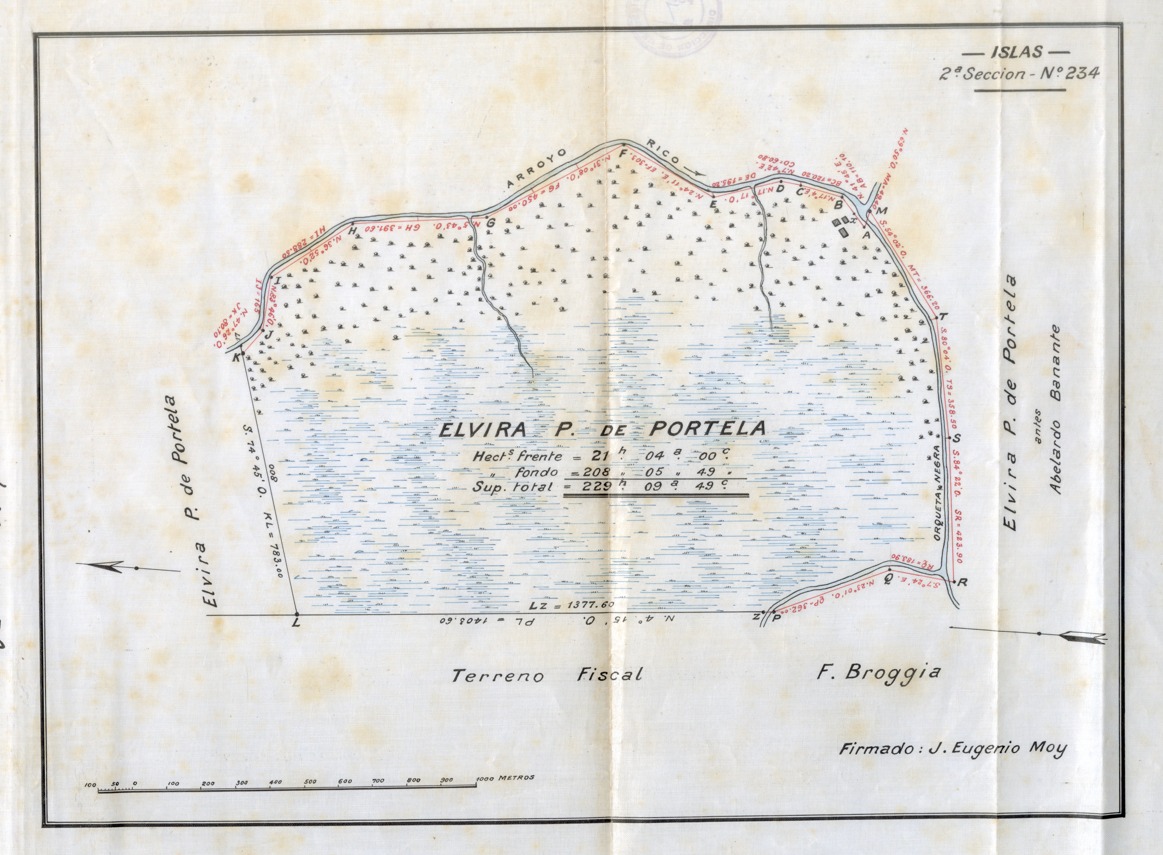 Plano de mensura de 1895 de Elvira P. de Portela en Arroyo Rico, Islas de San Fernando, utilizado para la recomposición de títulos históricos.